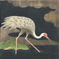 Tranquil Crane Lake Edo Screen